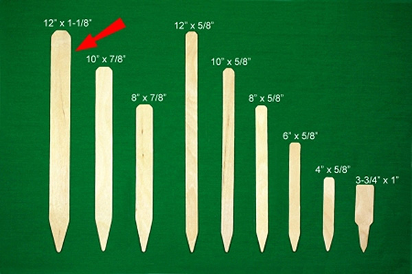 DP Wood Label Plain 12